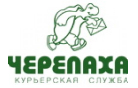 Черепаха